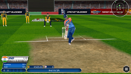 World Cricket Championship screenshot 3