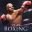 Real Boxing APK