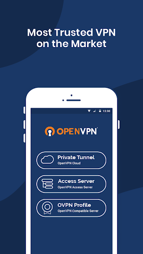 OpenVPN Connect screenshot 1