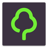 Gumtree