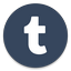 Tumblr icon